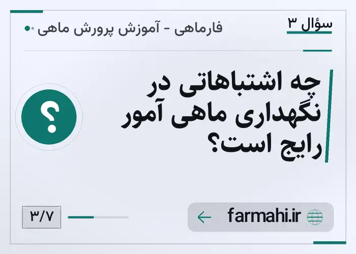 چه اشتباهاتی در نگهداری ماهی آمور رایج است؟