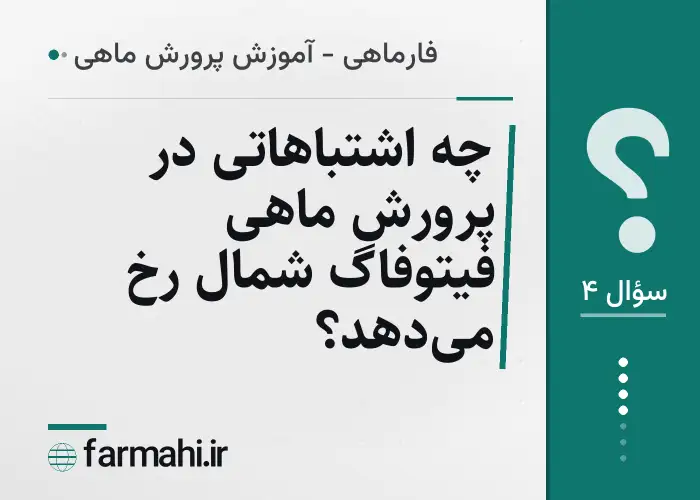 چه اشتباهاتی در پرورش ماهی فیتوفاگ شمال رخ می‌دهد؟