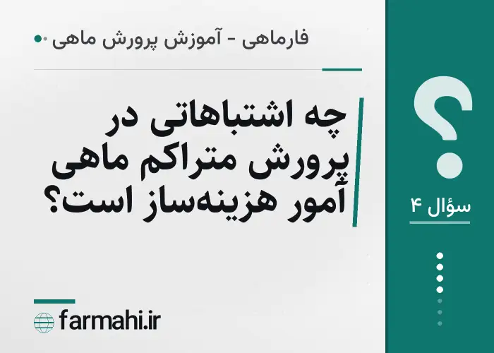 چه اشتباهاتی در پرورش متراکم ماهی آمور هزینه‌ساز است؟