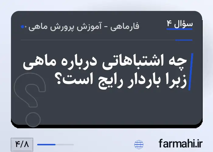 چه اشتباهاتی درباره ماهی زبرا باردار رایج است؟