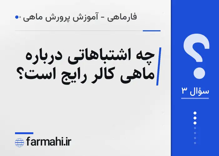 چه اشتباهاتی درباره ماهی کالر رایج است؟