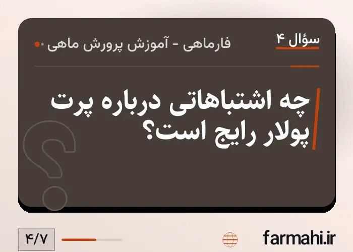 چه اشتباهاتی درباره پرت پولار رایج است؟