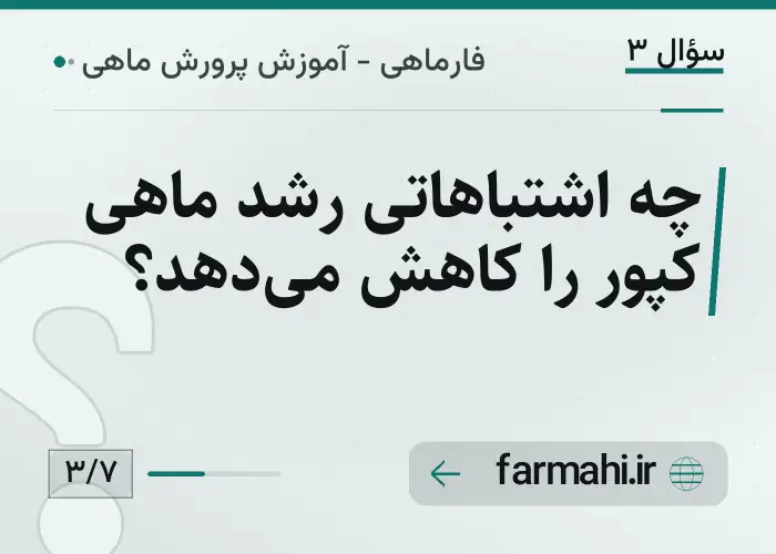 چه اشتباهاتی رشد ماهی کپور را کاهش می‌دهد؟