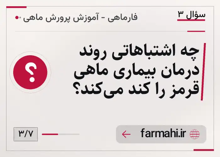 چه اشتباهاتی روند درمان بیماری ماهی قرمز را کند می‌کند؟