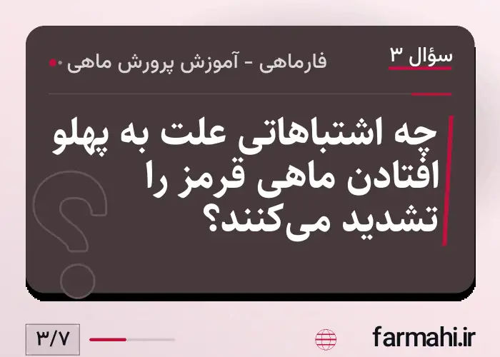 چه اشتباهاتی علت به پهلو افتادن ماهی قرمز را تشدید می‌کنند؟