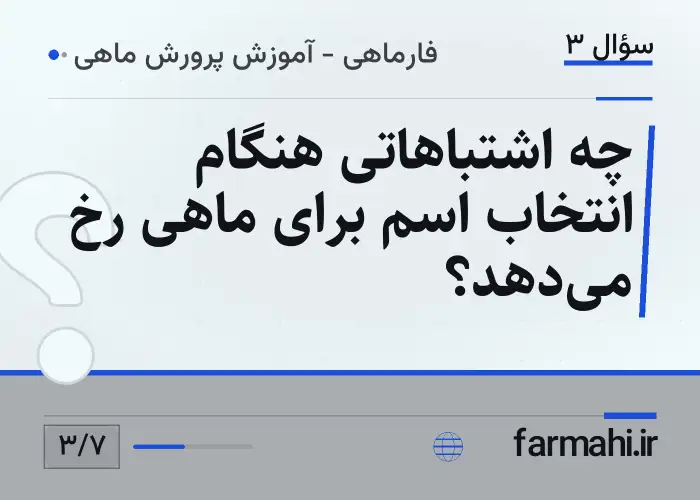 چه اشتباهاتی هنگام انتخاب اسم برای ماهی رخ می‌دهد؟