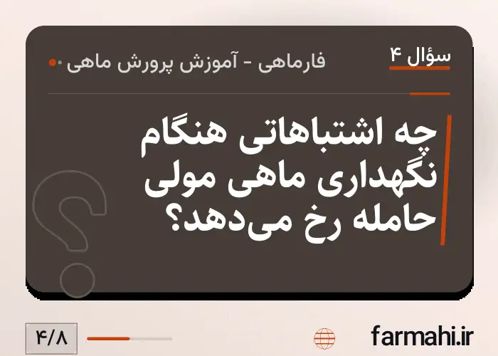 چه اشتباهاتی هنگام نگهداری ماهی مولی حامله رخ می‌دهد؟