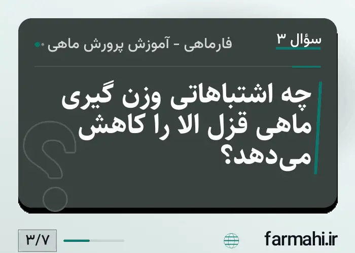 چه اشتباهاتی وزن گیری ماهی قزل الا را کاهش می‌دهد؟