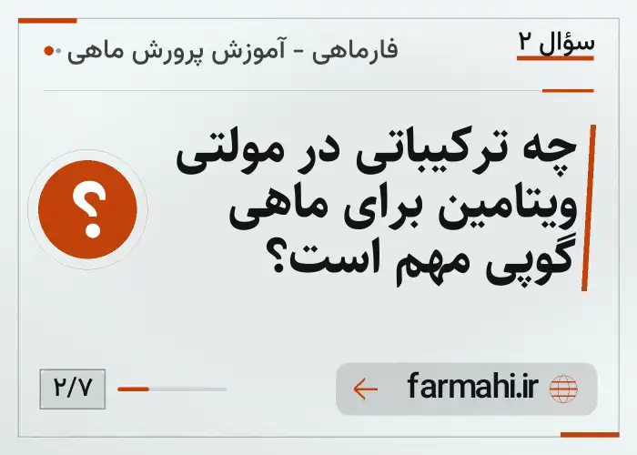 چه ترکیباتی در مولتی ویتامین برای ماهی گوپی مهم است؟