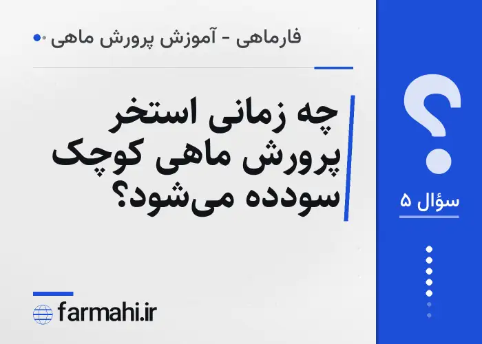 چه زمانی استخر پرورش ماهی کوچک سودده می‌شود؟