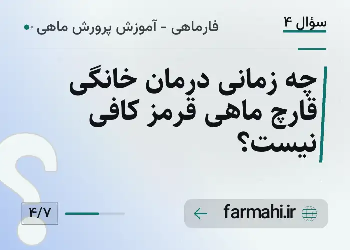 چه زمانی درمان خانگی قارچ ماهی قرمز کافی نیست؟
