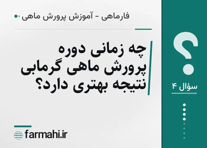 چه زمانی دوره پرورش ماهی گرمابی نتیجه بهتری دارد؟