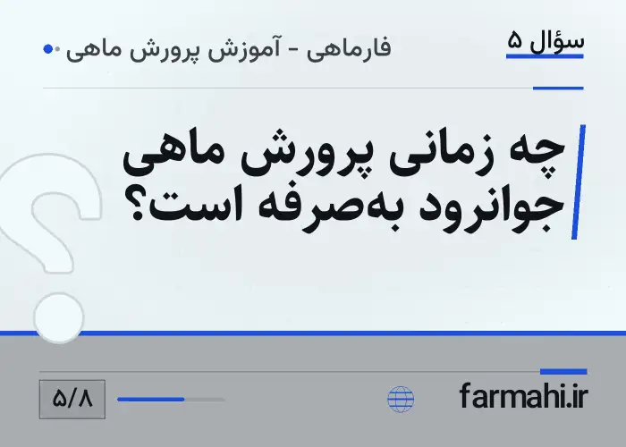 چه زمانی پرورش ماهی جوانرود به‌صرفه است؟