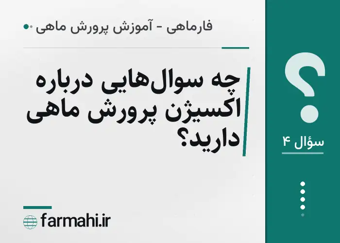چه سوال‌هایی درباره اکسیژن پرورش ماهی دارید؟