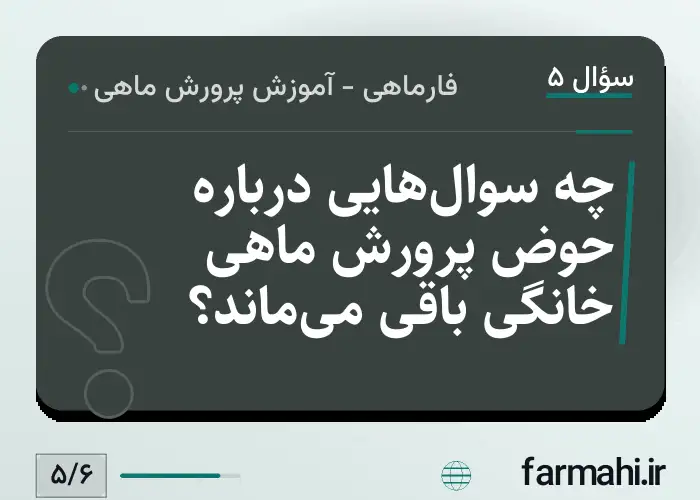 چه سوال‌هایی درباره حوض پرورش ماهی خانگی باقی می‌ماند؟