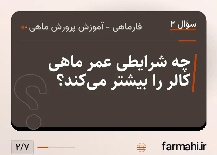 چه شرایطی عمر ماهی کالر را بیشتر می‌کند؟
