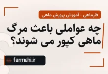 چه عواملی باعث مرگ ماهی کپور می شوند؟