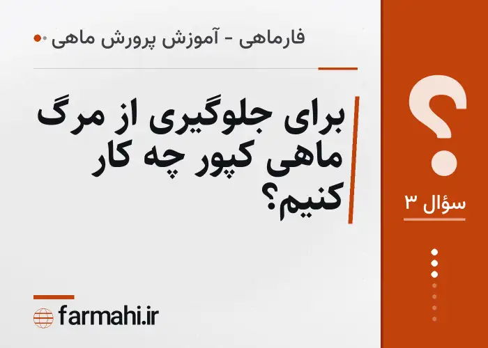 برای جلوگیری از مرگ ماهی کپور چه کار کنیم؟