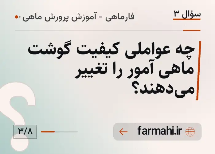 چه عواملی کیفیت گوشت ماهی آمور را تغییر می‌دهند؟