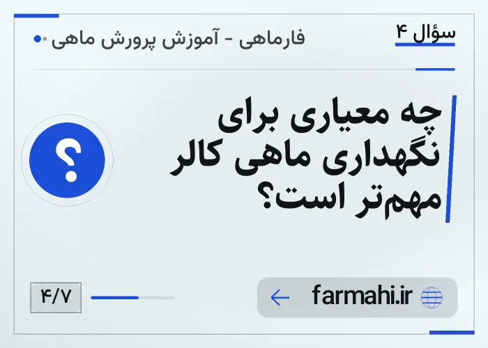 چه معیاری برای نگهداری ماهی کالر مهم‌تر است؟