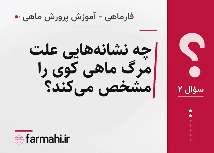چه نشانه‌هایی علت مرگ ماهی کوی را مشخص می‌کند؟