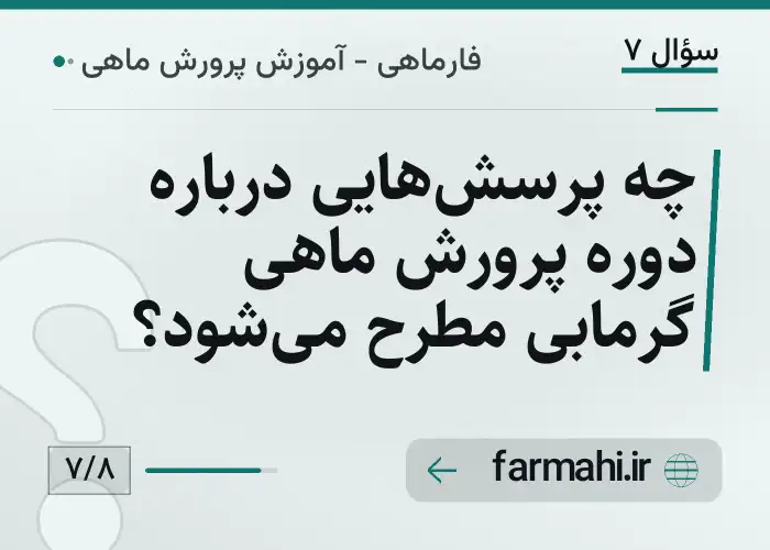 چه پرسش‌هایی درباره دوره پرورش ماهی گرمابی مطرح می‌شود؟