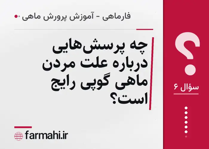 چه پرسش‌هایی درباره علت مردن ماهی گوپی رایج است؟