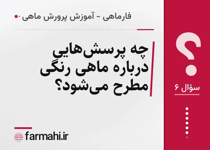 چه پرسش‌هایی درباره ماهی رنگی مطرح می‌شود؟