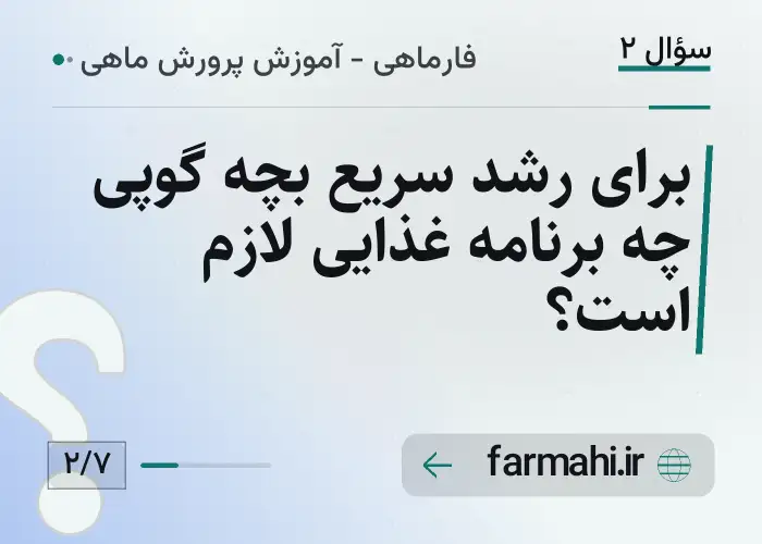 برای رشد سریع بچه گوپی چه برنامه غذایی لازم است؟