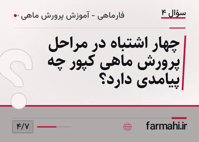 چهار اشتباه در مراحل پرورش ماهی کپور چه پیامدی دارد؟