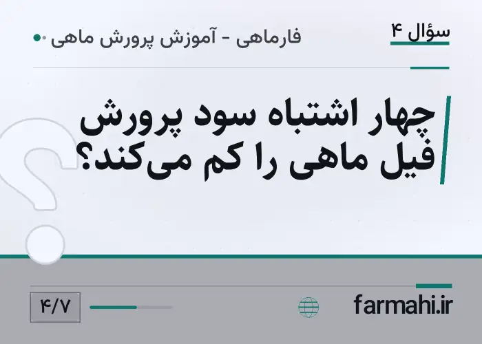 چهار اشتباه سود پرورش فیل ماهی را کم می‌کند؟