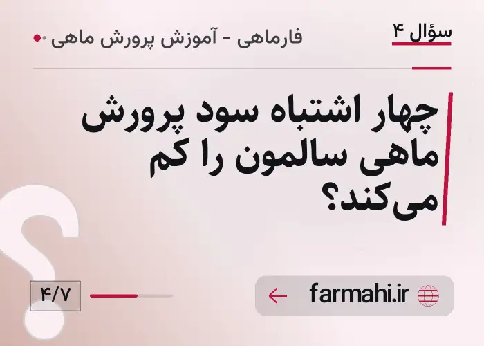 چهار اشتباه سود پرورش ماهی سالمون را کم می‌کند؟