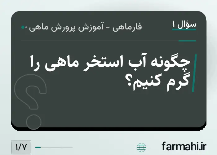 چگونه آب استخر ماهی را گرم کنیم؟