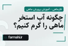 چگونه آب استخر ماهی را گرم کنیم؟