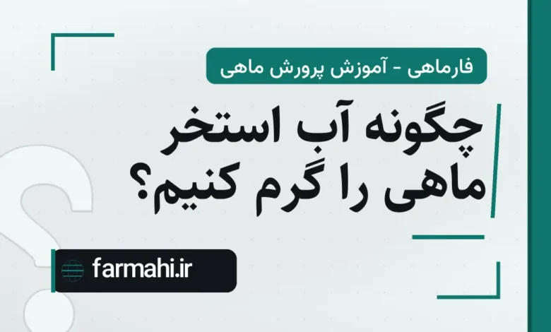 چگونه آب استخر ماهی را گرم کنیم؟