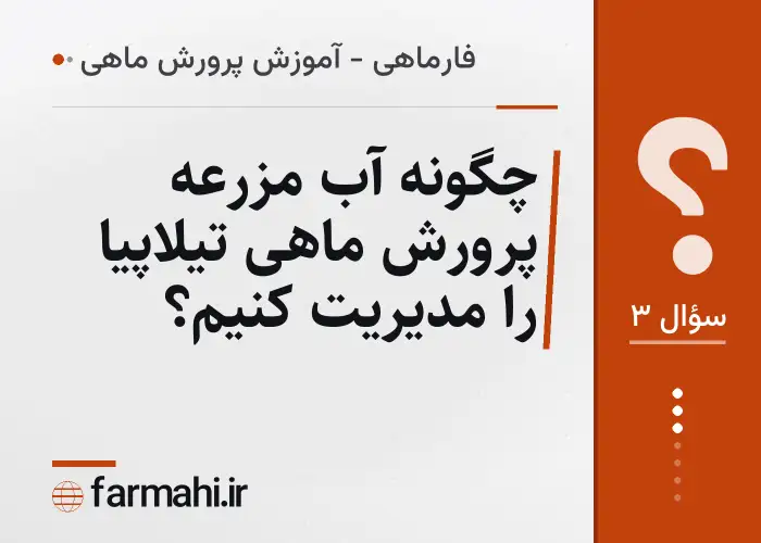چگونه آب مزرعه پرورش ماهی تیلاپیا را مدیریت کنیم؟
