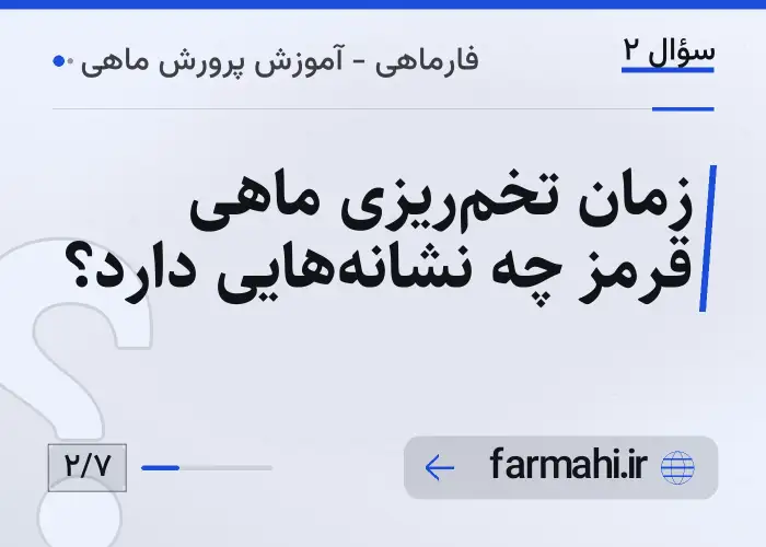زمان تخم‌ریزی ماهی قرمز چه نشانه‌هایی دارد؟