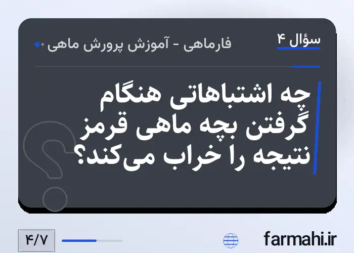 چه اشتباهاتی هنگام گرفتن بچه ماهی قرمز نتیجه را خراب می‌کند؟