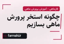 چگونه استخر پرورش ماهی بسازیم