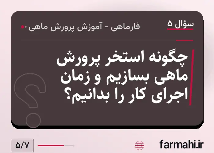 چگونه استخر پرورش ماهی بسازیم و زمان اجرای کار را بدانیم؟