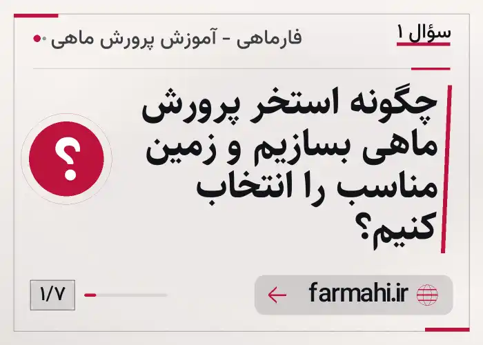 چگونه استخر پرورش ماهی بسازیم و زمین مناسب را انتخاب کنیم؟
