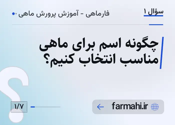 چگونه اسم برای ماهی مناسب انتخاب کنیم؟