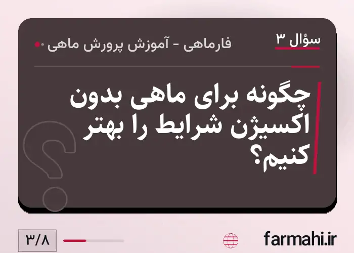 چگونه برای ماهی بدون اکسیژن شرایط را بهتر کنیم؟