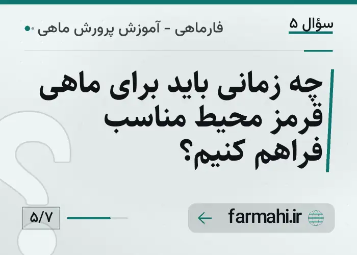 چه زمانی باید برای ماهی قرمز محیط مناسب فراهم کنیم؟