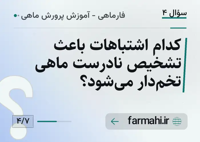 کدام اشتباهات باعث تشخیص نادرست ماهی تخم‌دار می‌شود؟