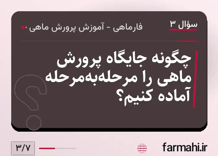 چگونه جایگاه پرورش ماهی را مرحله‌به‌مرحله آماده کنیم؟