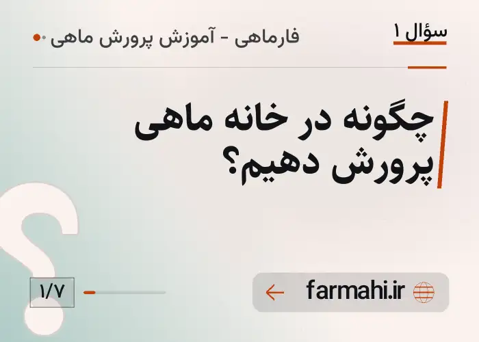 چگونه در خانه ماهی پرورش دهیم؟