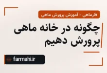 چگونه در خانه ماهی پرورش دهیم