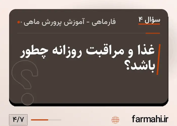 غذا و مراقبت روزانه چطور باشد؟
