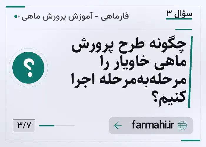 چگونه طرح پرورش ماهی خاویار را مرحله‌به‌مرحله اجرا کنیم؟